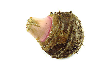 Image showing  taro root or colocasia