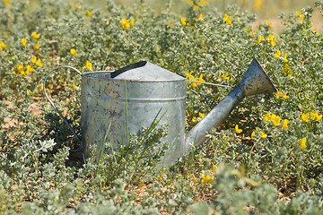 Image showing Gardening still life