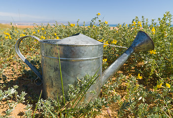 Image showing Watering can