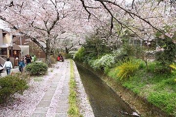 Image showing Kyoto, Japan