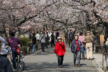Image showing Ueno Park, Tokyo