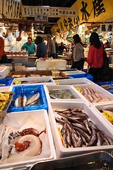 Image showing Tsukiji Fish Market, Tokyo