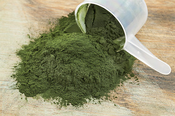 Image showing spirulina powder scoop