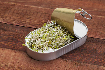Image showing broccoli sprouts in can