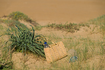 Image showing Sunny dunes