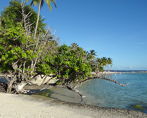 Image showing caribbean beach scenery