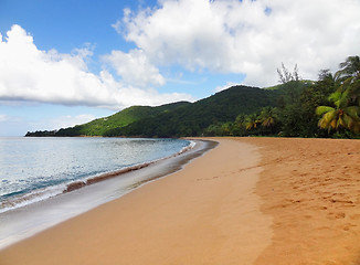 Image showing caribbean beach scenery