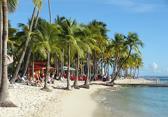 Image showing caribbean beach scenery