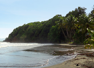 Image showing caribbean beach scenery