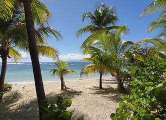 Image showing caribbean beach scenery