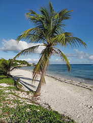 Image showing caribbean beach scenery