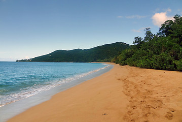 Image showing caribbean beach scenery