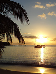 Image showing coastal evening scenery at Guadeloupe