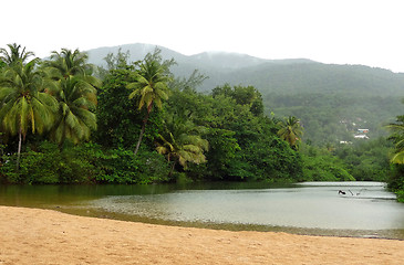 Image showing caribbean beach scenery