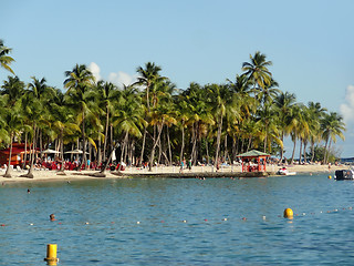 Image showing caribbean beach scenery