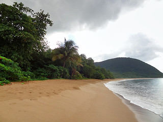 Image showing caribbean beach scenery