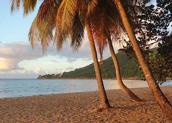 Image showing sundown beach scenery