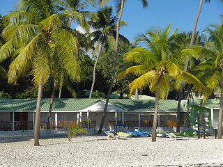 Image showing caribbean beach scenery