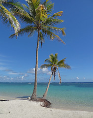 Image showing caribbean beach scenery