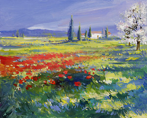 Image showing painted poppies on summer meadow