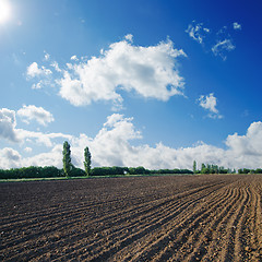 Image showing black ploughed field under blue sky with sun