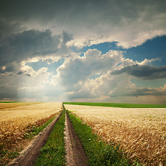 Image showing road in golden agricultural field under dramatic clouds