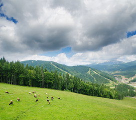 Image showing Beautiful green mountain landscape