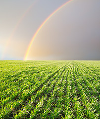 Image showing Landscape with a rainbow