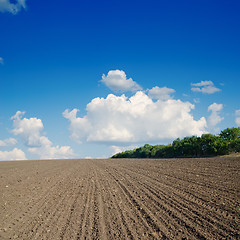 Image showing black ploughed field under blue sky