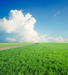 Image showing summer landscape with green field and blue cloudy sky