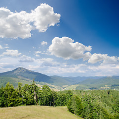 Image showing Carpathian mountains in summer, Bukovel region, Ukraine