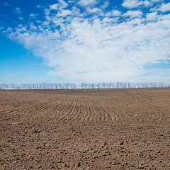 Image showing black ploughed field under deep blue sky