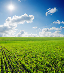Image showing field of grass and deep blue sky with sun