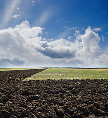 Image showing black ploughed field under cloudy sky