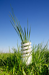 Image showing energy saving lamp in green field