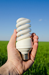 Image showing energy saving lamp in hand