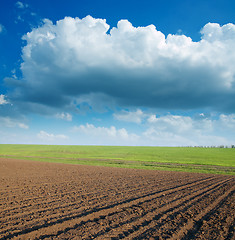 Image showing ploughed field