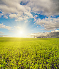 Image showing sun over green field