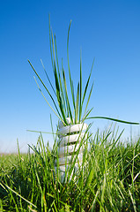 Image showing energy saving lamp in green grass under blue sky