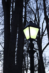 Image showing Street light and silhouettes of trees