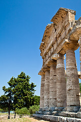 Image showing Paestum temple - Italy