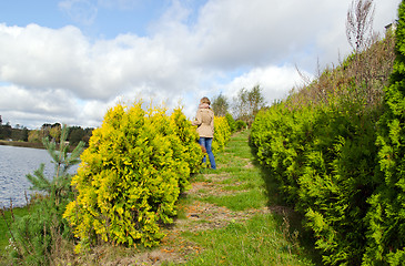 Image showing blond woman stand thuja bush alley admire lake 