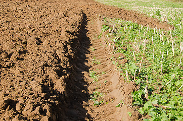 Image showing tractor mark trail soil agricultural plow field 