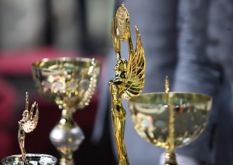 Image showing sports awards