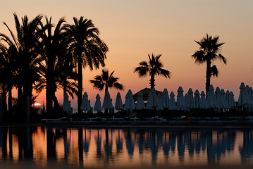 Image showing Sunset and palms