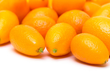 Image showing Heap Kumquat fruit (Fortunella)