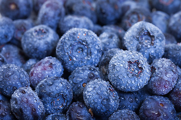 Image showing Wet Fresh Blueberries Berries