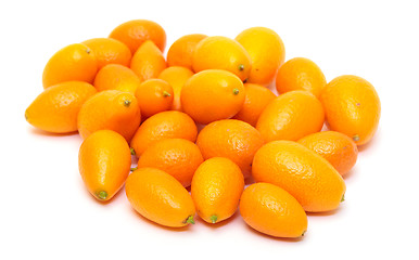 Image showing Heap Kumquat fruit (Fortunella)