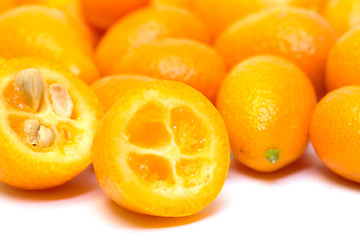 Image showing Heap Kumquat fruit (Fortunella)