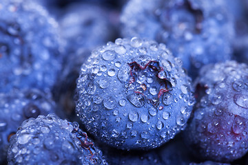 Image showing Wet Fresh Blueberries Berries